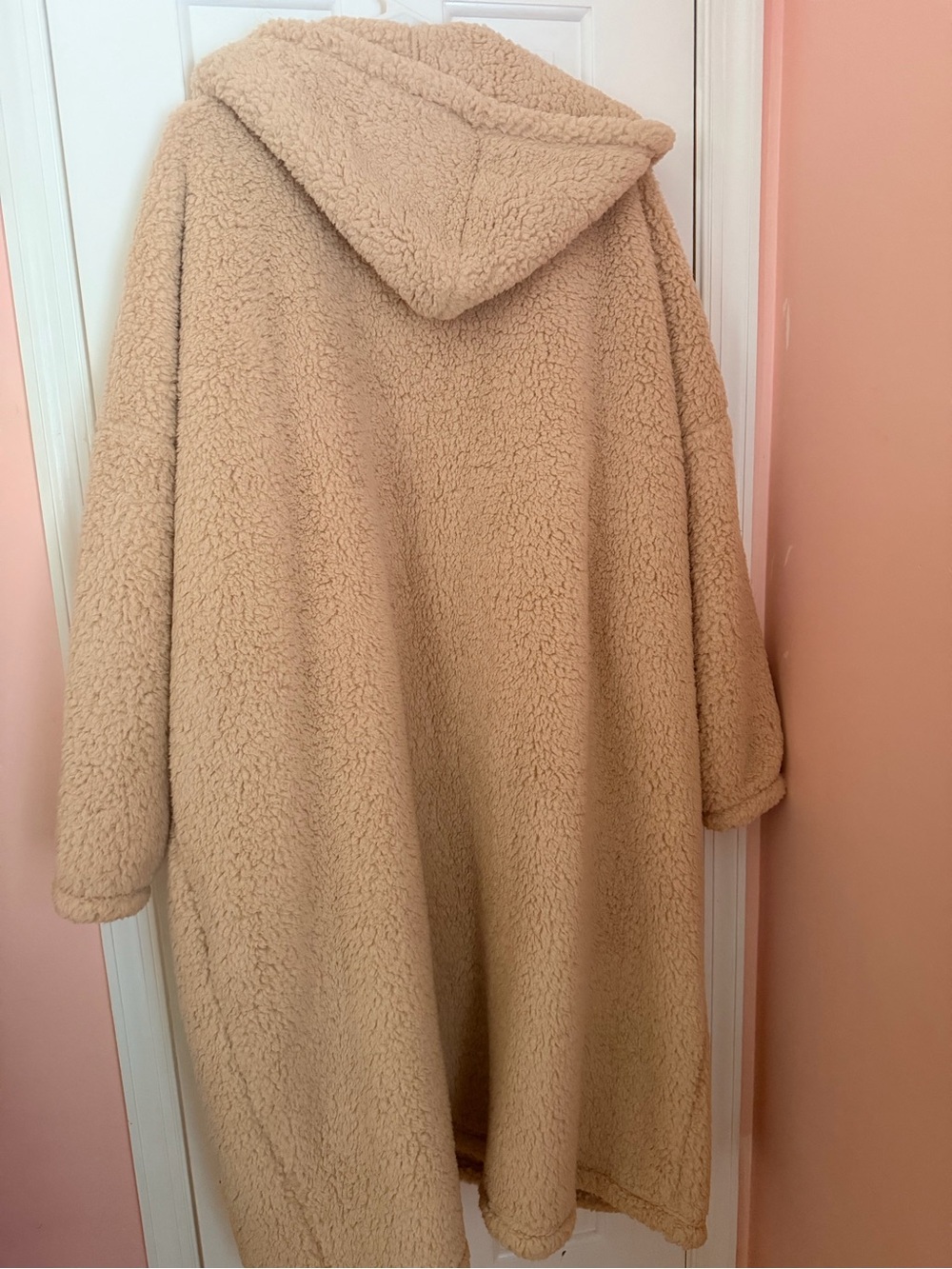 Oversized Hooded Teddy Jacket in Light